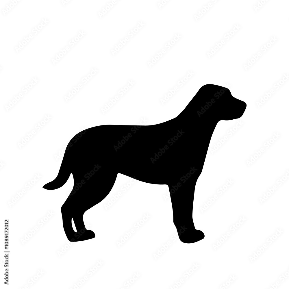 Boxer Dog Breed Boxer Dog Breed