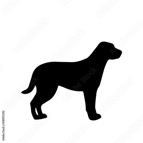 Boxer Dog Breed