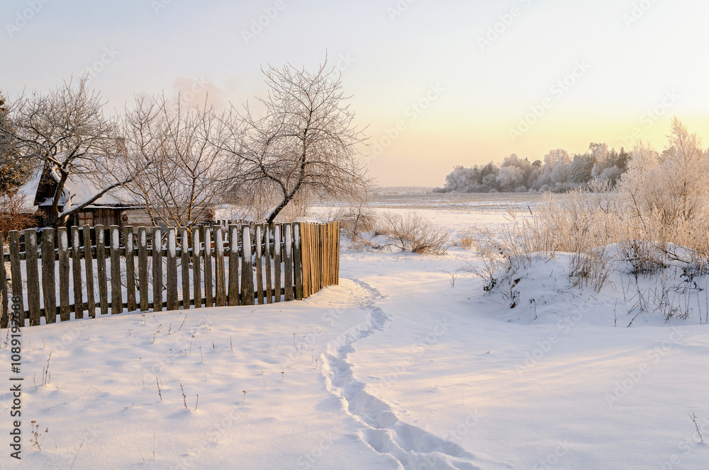 Colorful rural winter landscape with field and frosty trees - quiet winter evening at the village Colorful rural winter landscape with field and frosty trees - quiet winter evening at the village