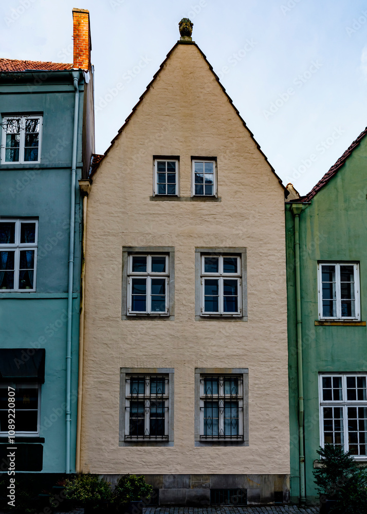 Fototapeta premium Facade of houses 