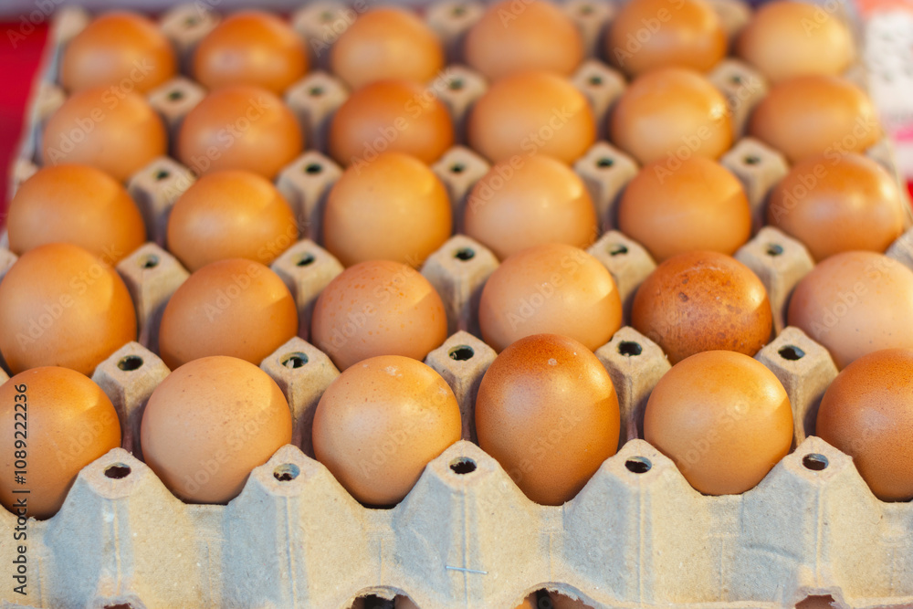 Eggs in trays are placed in grocery stores or grocery stores. The fact that eggs are in trays allows for transportation and inspection to check the composition of the eggs. Eggs in trays are placed in grocery stores or grocery stores. The fact that eggs are in trays allows for transportation and inspection to check the composition of the eggs.
