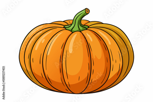 Big orange pumpkin single element white background vector illustration