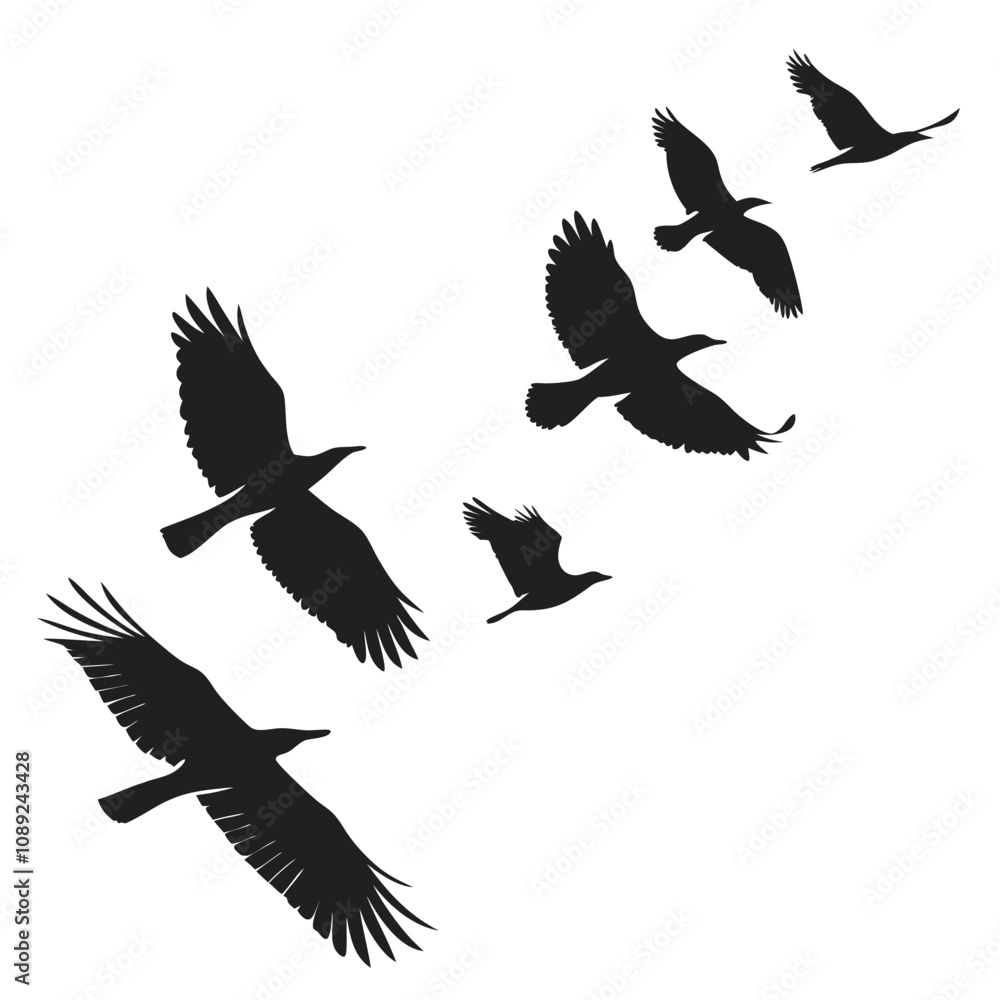 Obraz premium silhouettes of birds flying