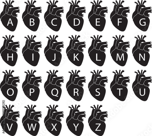 Human Heart alphabet bundle, Hearts Vector Bundle, Heart  bundle, Heart Clipart, Human Heart Svg