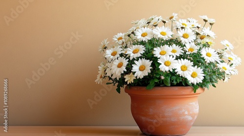 Wallpaper Mural Pot of vibrant white daisies elegantly arranged on a table, complemented by a warm, blank wall that offers generous copy space for text. Torontodigital.ca