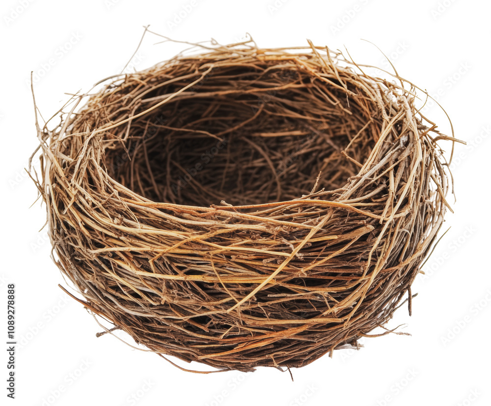 PNG Natural bird nest made from twigs and grass PNG Natural bird nest made from twigs and grass