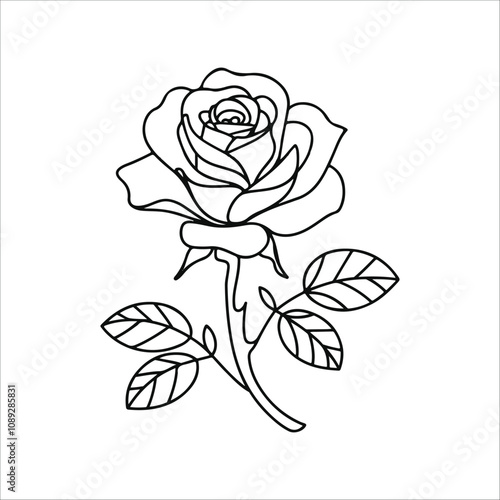 A minimal line art illustration of a beautiful-rose in white Background.