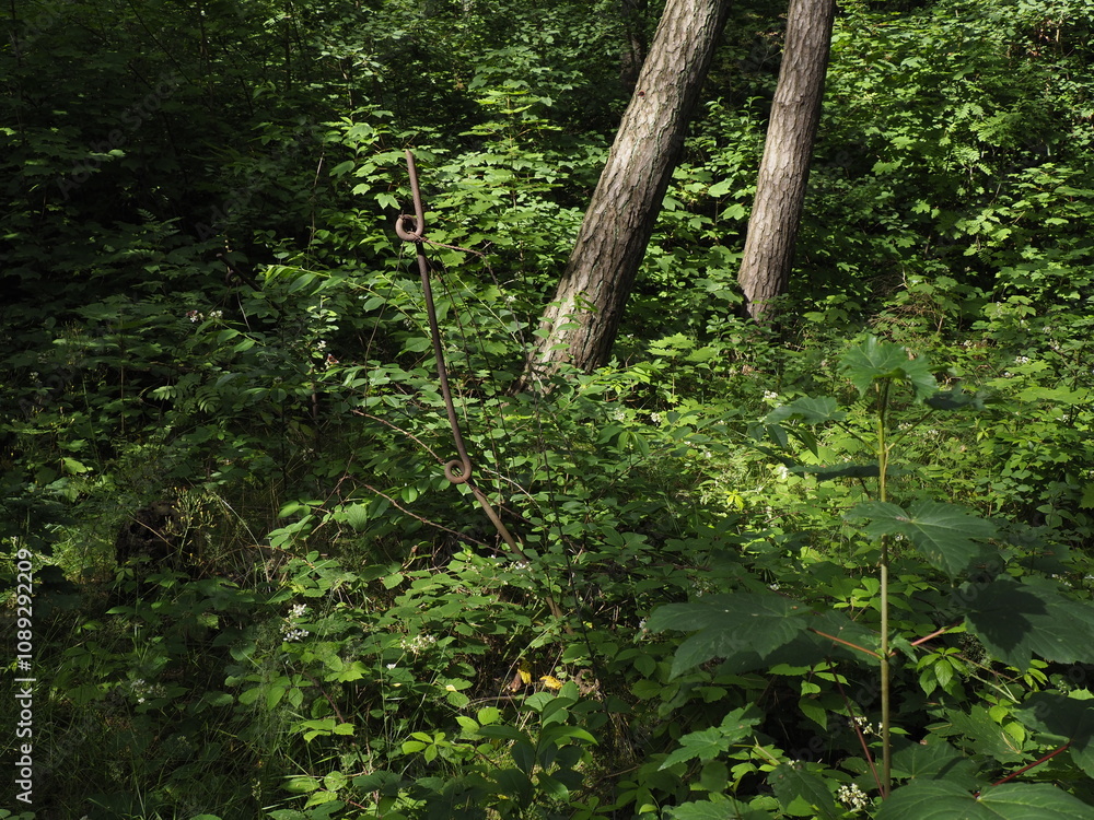 Forest clearing with a metal hook among green plants and trees Forest clearing with a metal hook among green plants and trees