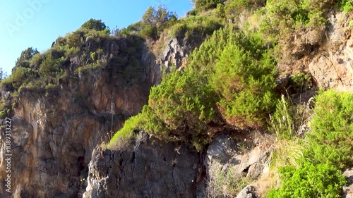 Mediterranean scrub on the crest of the limestone cliff in the Cilento area, south Italy.