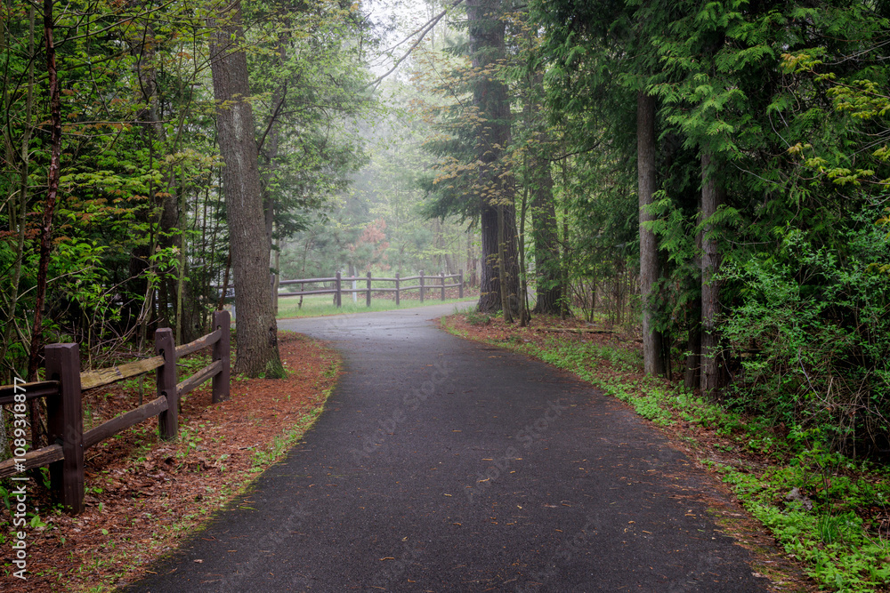 Fototapeta premium Harrisville State Park (2024)