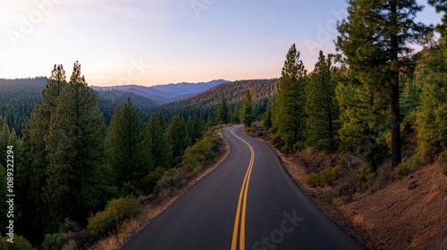 scenic winding road through lush green forest at sunset