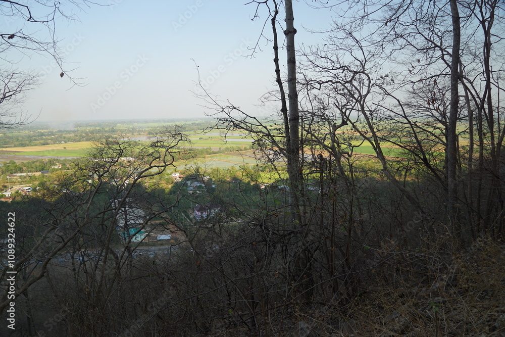 Serene nature view from hillside rural landscape high-resolution image early morning captivating peacefulness Serene nature view from hillside rural landscape high-resolution image early morning captivating peacefulness