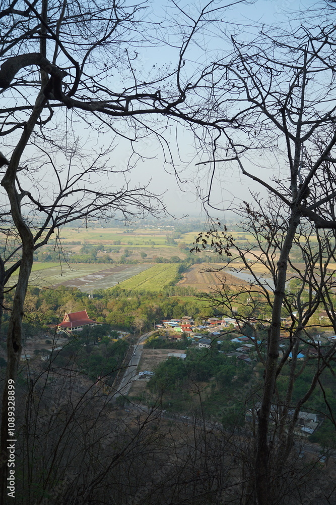 Scenic overlook of agricultural landscape hillside viewpoint nature photography tranquil environment early morning light Scenic overlook of agricultural landscape hillside viewpoint nature photography tranquil environment early morning light
