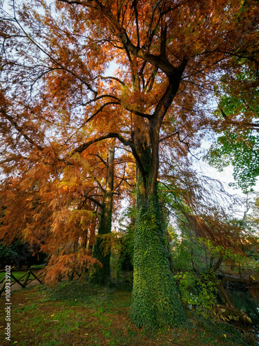 Giardini Montanelli, public park in Milan, Italy, at November