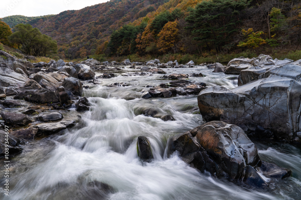 flowing water at the stream in the autumn valley flowing water at the stream in the autumn valley