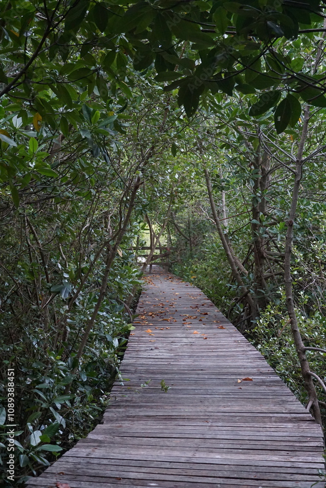 Obraz premium Exploring nature's path scenic boardwalk journey through lush greenery peaceful forest tranquil landscape inviting viewpoint adventure awaits