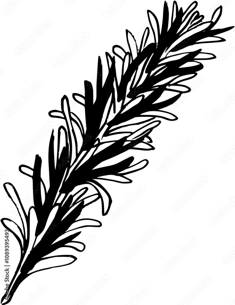 Naklejka premium branch. Hand drawn vector sketch illustration