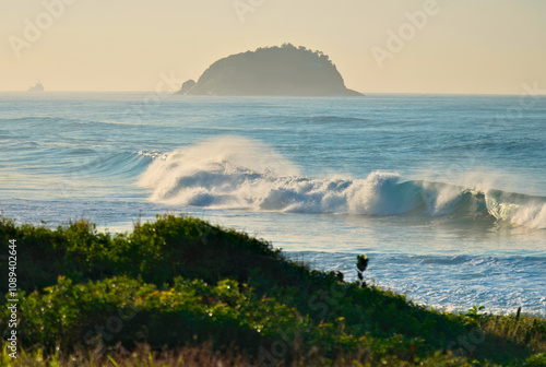 Beautiful beach in Rio de Janeiro with restinga vegetation in the foreground and an island in the background. Wild beach.