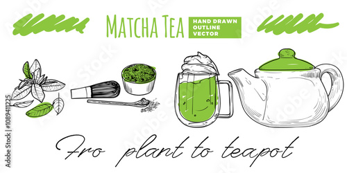 Matcha tea from plant to tea cup and pot. Hand drawn line art tea with green sketched touches of matcha plant, powder, cup and pot. Outline design only, no fill apart from the green details.