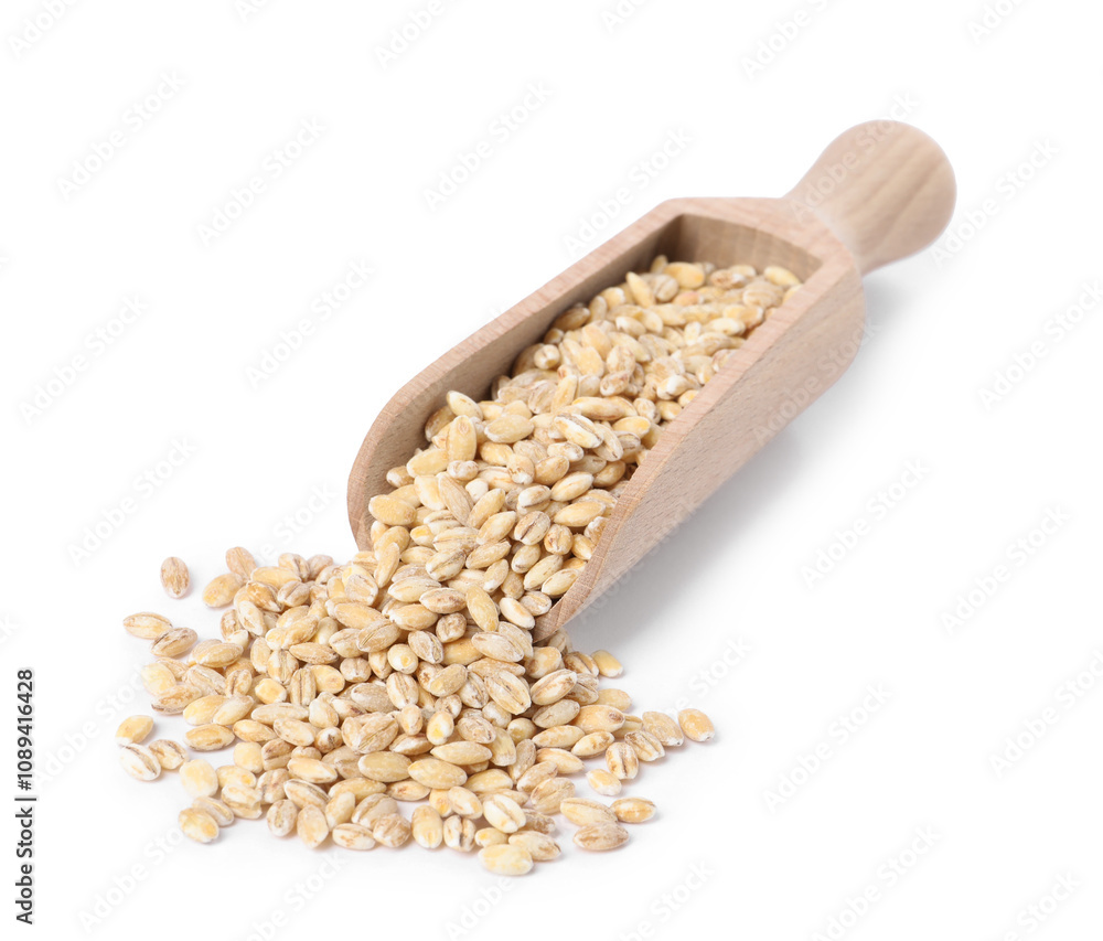 Scoop with pearl barley groats isolated on white Scoop with pearl barley groats isolated on white