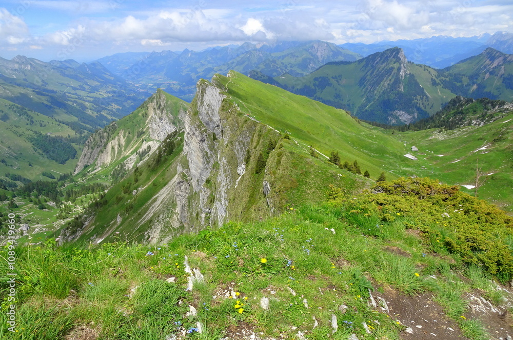 Naklejka premium Rocher de Naye, the ridges in the Swiss alps near Montreux. Panorama landscape of mountains in springtime in Switzerland.