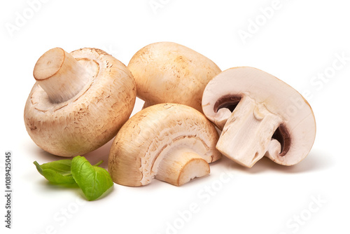 Champignons, close-up, isolated on white background. photo