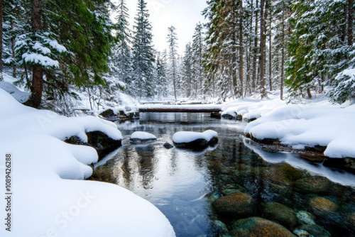 Vermont Winter Landscape