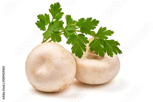 Champignons, close-up, isolated on white background. photo