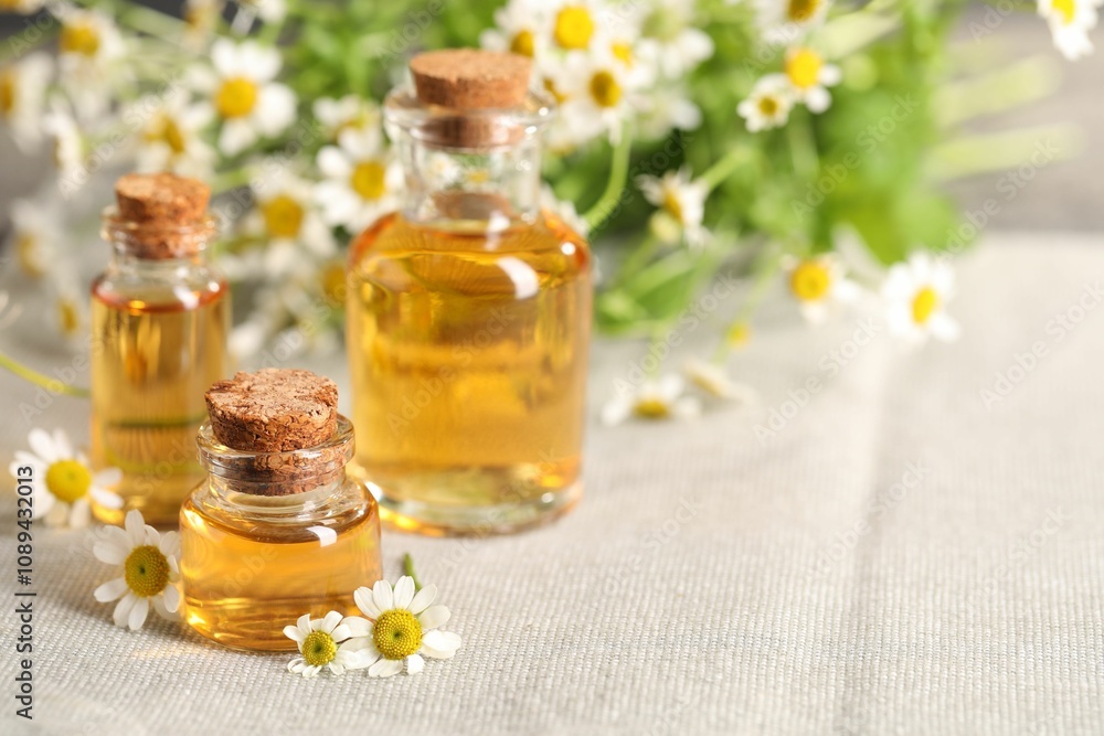 Bottles of essential oil and chamomile flowers on cloth, closeup. Space for text Bottles of essential oil and chamomile flowers on cloth, closeup. Space for text