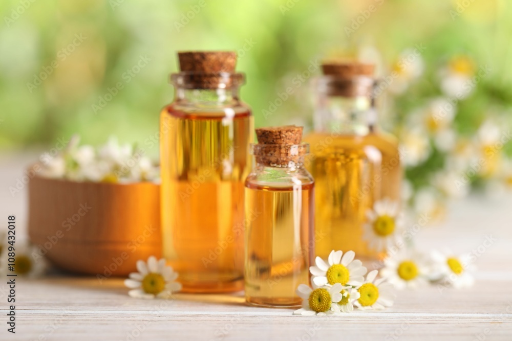 Bottles of essential oil and chamomile flowers on white wooden table against blurred background, closeup Bottles of essential oil and chamomile flowers on white wooden table against blurred background, closeup