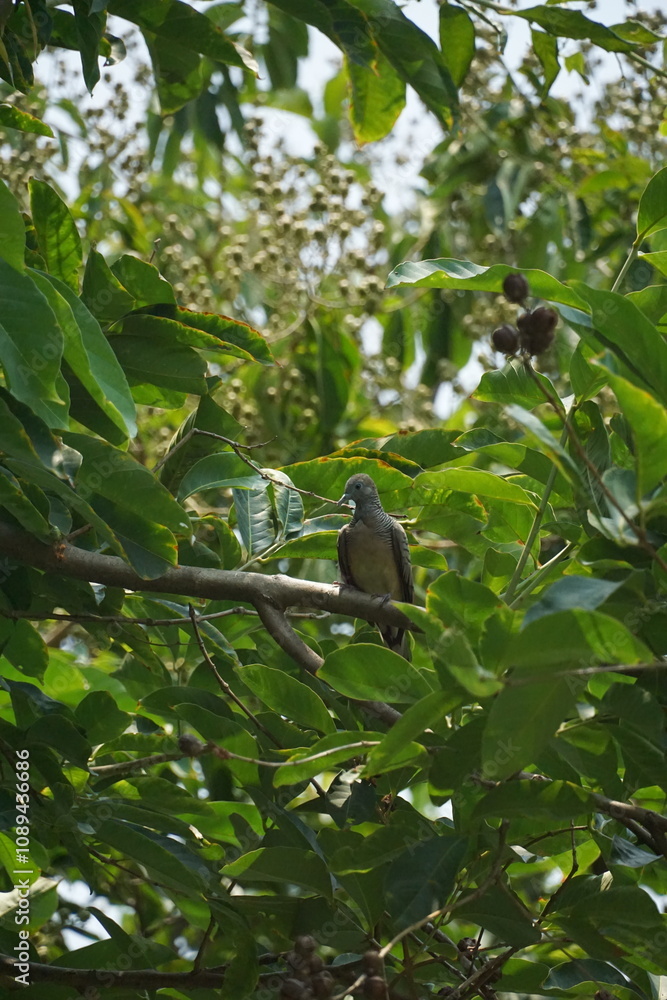 Bird perched on tree branch lush green environment nature photography close-up view wildlife observation Bird perched on tree branch lush green environment nature photography close-up view wildlife observation