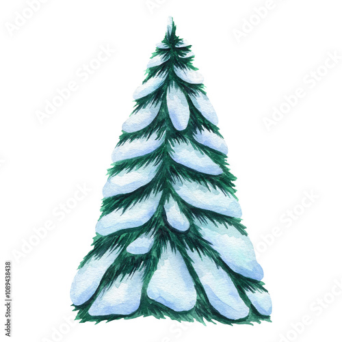 Winter snowy Christmas tree. Hand drawn watercolor illustration of spruce in snow isolated on white background clipart.