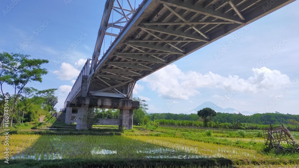 photograph the road bridge from below and from an angle photograph the road bridge from below and from an angle