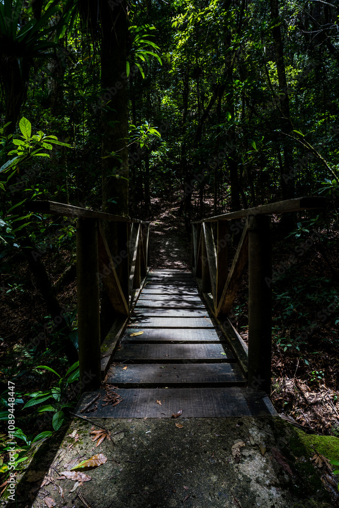Fototapeta premium parque nacional la tigra