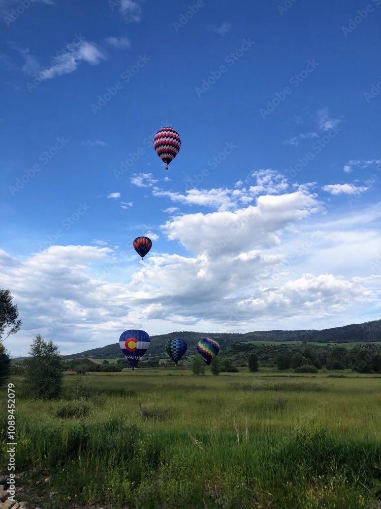 Obraz premium Hot air balloon festival in the mountains