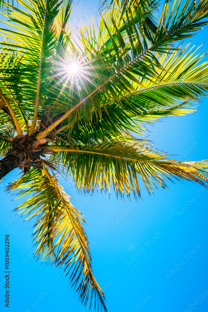 Fototapeta premium utila