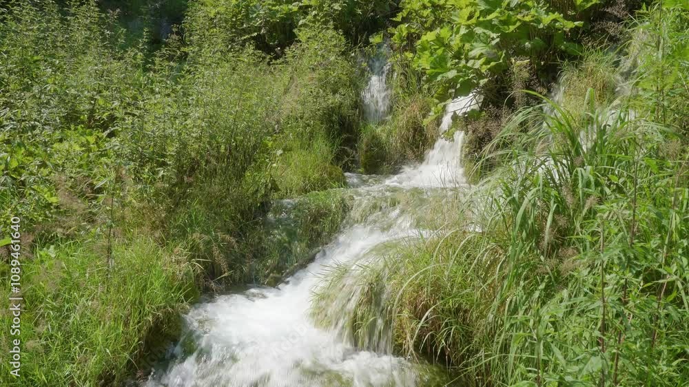 A waterfall with clear water in the famous Croatian Plitvice Lakes National Park, listed as a UNESCO World Heritage site. A popular natural tourist attraction in Croatia. A waterfall with clear water in the famous Croatian Plitvice Lakes National Park, listed as a UNESCO World Heritage site. A popular natural tourist attraction in Croatia.