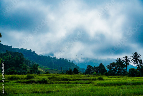 Majestic mountain landscape lush green rice fields scenic nature photography tropical environment serene viewpoint peaceful vibes