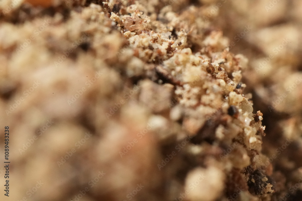 Macro close up of ground pepper Macro close up of ground pepper