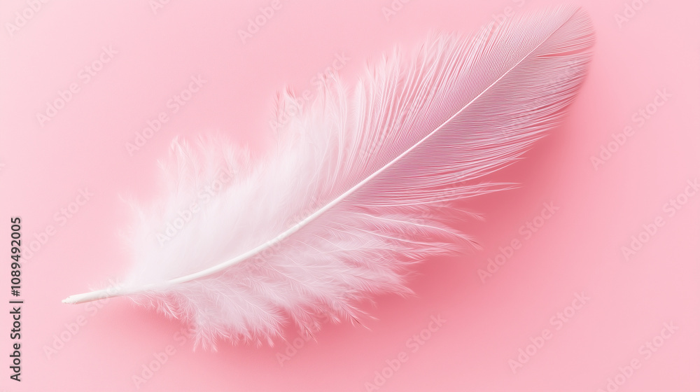 Obraz premium white feather isolated on pink background. 