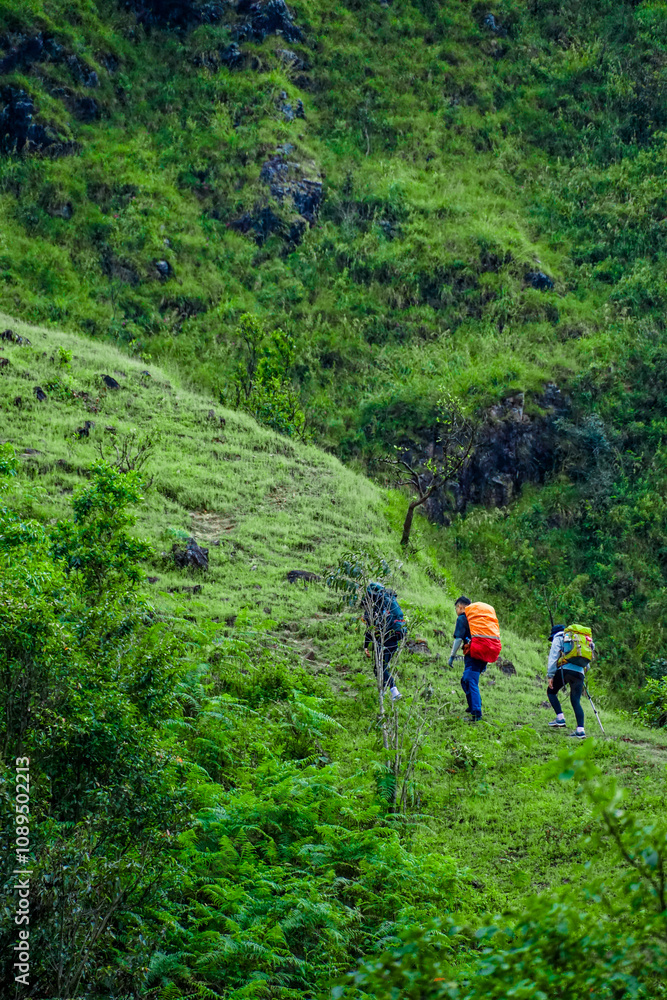 Adventurous hikers trekking through lush green hills nature trail outdoor activity scenic landscape upward view exploration Adventurous hikers trekking through lush green hills nature trail outdoor activity scenic landscape upward view exploration