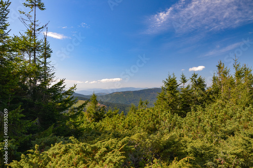 Fototapeta Naklejka Na Ścianę i Meble -  picturesque and wonderful views on the way to Pilsko in the Beskid Mountains