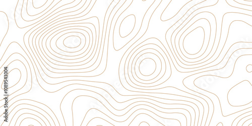 Abstract wave paper curved reliefs background .gradient multicolor wave curve lines banner background design .topographic contours map background .Vector geographic contour map.	