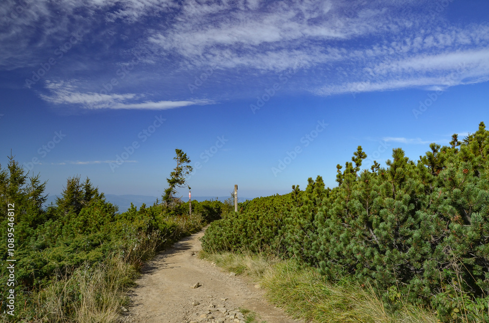 Obraz premium picturesque and wonderful views on the way to Pilsko in the Beskid Mountains