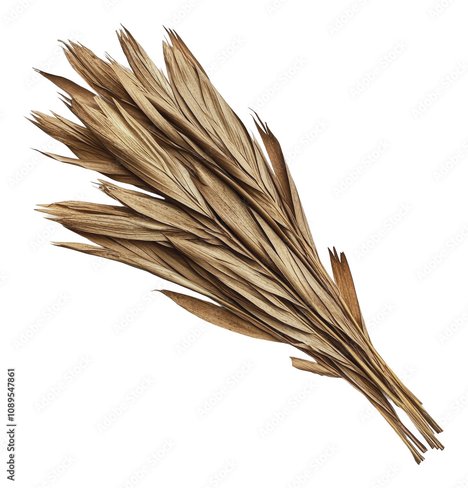PNG Dried grass bouquet arranged for natural decor PNG Dried grass bouquet arranged for natural decor