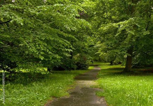 View of the spa park full of flowers Konstantinovy ​​lazne (konstantinsbad) czech republic Europe photo