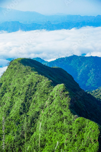 Breathtaking sunrise over lush mountain range nature photography scenic landscape outdoor adventure wide angle serenity