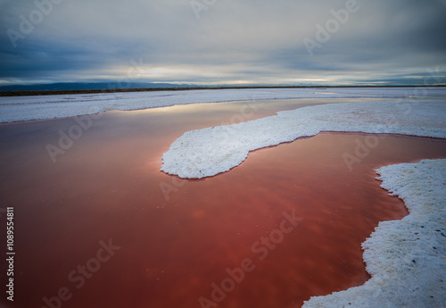 Alviso Salt Flats Pink water, horizontal with water reflection photo