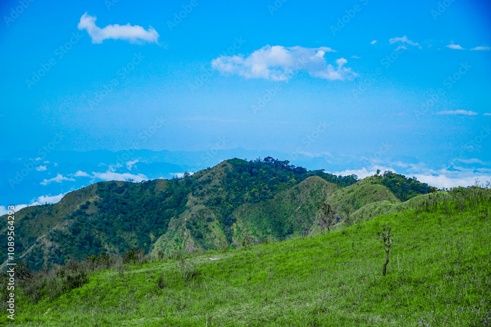 Exploring lush green hills scenic landscape nature photography vibrant environment wide angle outdoor serenity Exploring lush green hills scenic landscape nature photography vibrant environment wide angle outdoor serenity