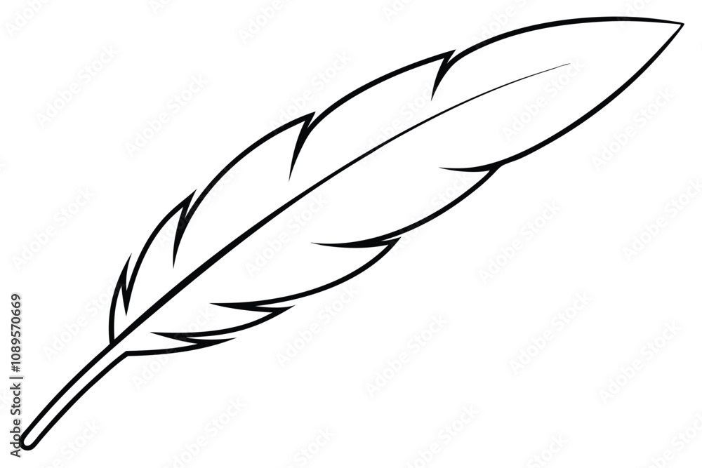 Beautiful Bird feather vector illustration Beautiful Bird feather vector illustration